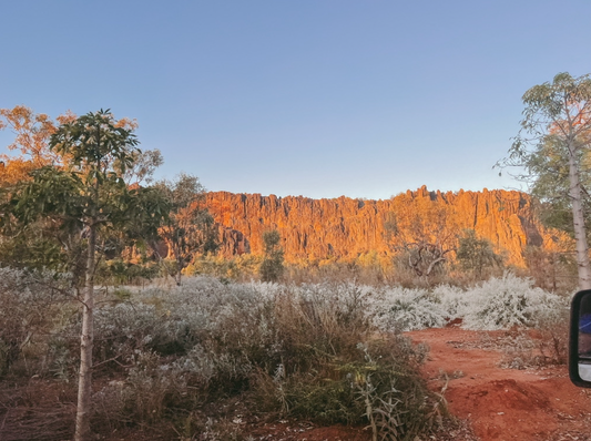 How did we get our name?