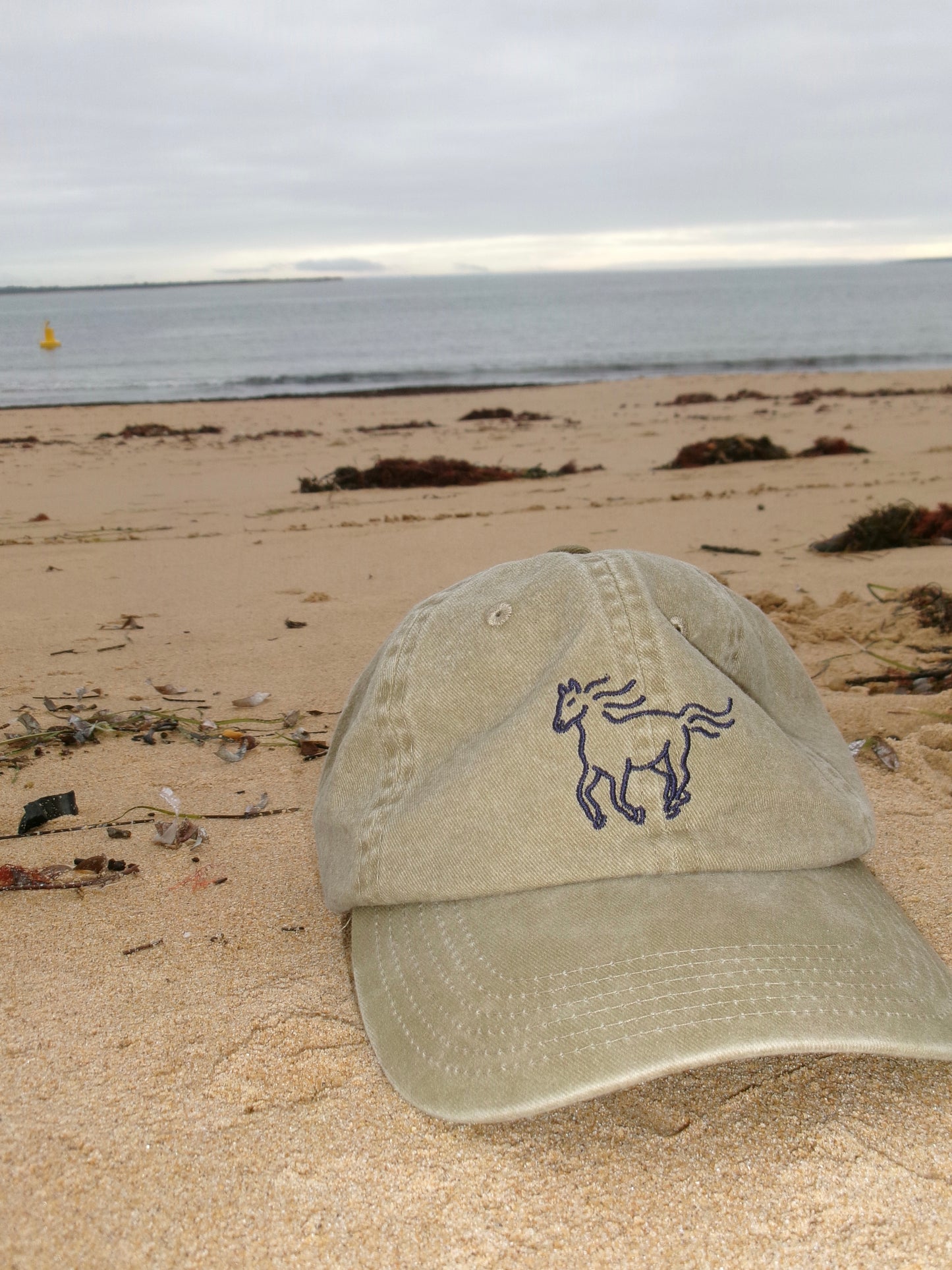 The Palomino Cap
