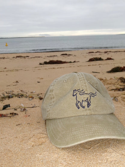 The Palomino Cap