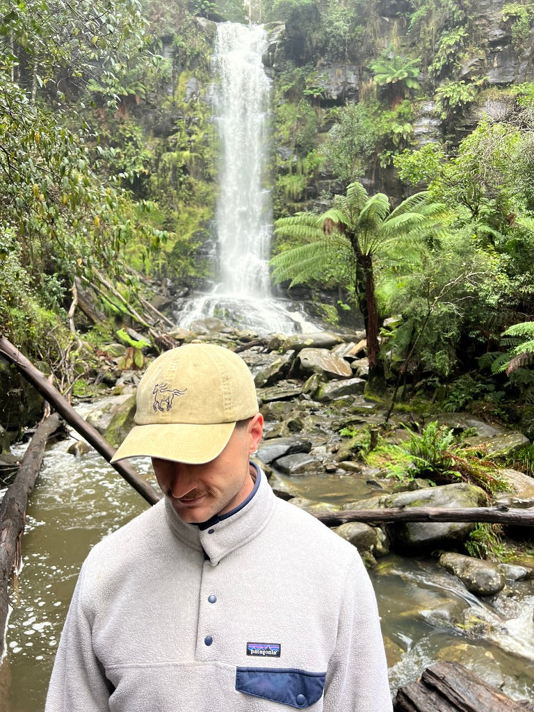 The Palomino Cap